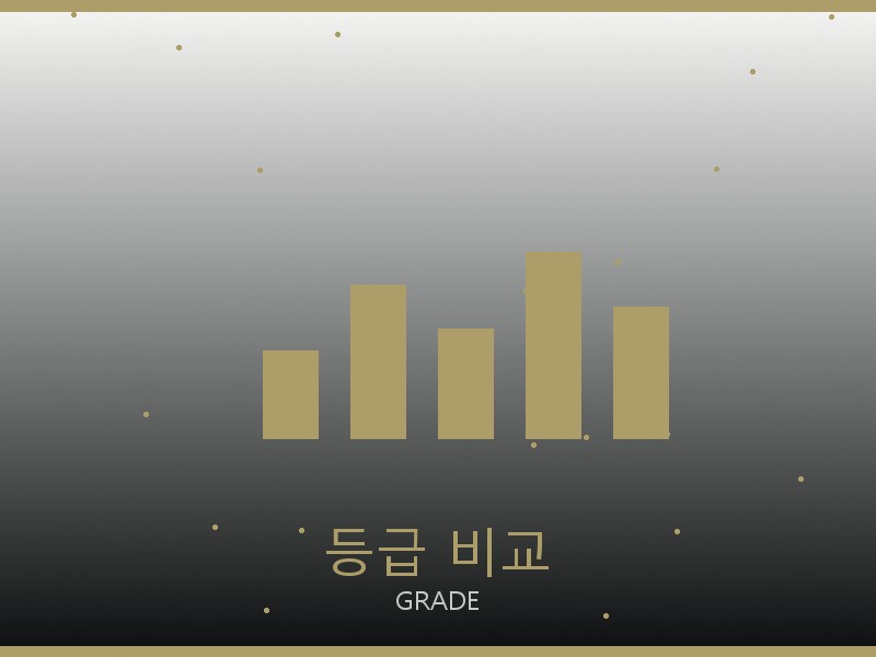 단톤 레플리카 사이트 등급 기준 비교